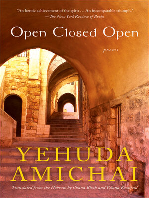cover image of Open Closed Open